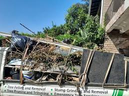 Best Residential Junk Removal  in Zionsville, IN